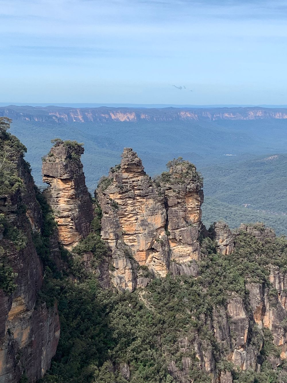 Forested escarpments in the Blue Mountains
